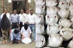 Mephedrone Chemistry Graduate raids, Chemistry Graduate, mumbai s chemistry graduate arrested rs 1400 cr drugs, Mumbai police