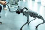Galgotias University in AI Summit breaking, Galgotias University, chinese robot dog fiasco in ai summit galgotias university asked to vacate, Pam Galgotias University in AI Summit breaking, Galgotias University, chinese robot dog fiasco in ai summit galgotias university asked to vacate, Pam