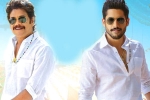 Bangarraju release date, Zee Studios, ten days worldwide collections of bangarraju, Kalyan krishna