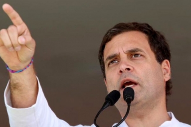 Congress Prez Rahul Gandhi Likely To Contest From Kerala