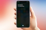 how to activate siri on iphone 8, apple’s iphone, apple reveals its contractors are regularly listening to your conversations with siri, Apple iphones 5c