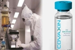 Coronavirus vaccine, Covaxin India, covaxin india s 1st covid 19 vaccine to get approval for human trials, Rotavirus