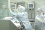 Pluristem, patient, israel s covid 19 treated tested on u s patient, Cell therapy Pluristem, patient, israel s covid 19 treated tested on u s patient, Cell therapy