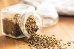 Cumin replacement, Cumin Vitamin B12, can cumin replace eggs and chicken for b12, Animal