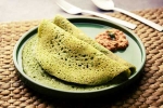 Curry Leaves Dosa latest, Curry Leaves Dosa preparation, recipe curry leaves dosa, Tasty