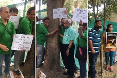 Delhi High Court Bans Cut Down of 16,500 Trees in South Delhi