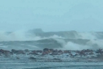 Cyclone Montha deaths, Cyclone Montha visuals, cyclone montha creates havoc in coastal andhra pradesh, Cyclone montha Cyclone Montha deaths, Cyclone Montha visuals, cyclone montha creates havoc in coastal andhra pradesh, Cyclone montha