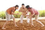 Aamir Khan news, Dangal collections, dangal 13 days collections, Mahavir singh Aamir Khan news, Dangal collections, dangal 13 days collections, Mahavir singh