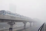 Delhi Air Quality 2024, Delhi Air Quality Index, delhi air remains toxic schools go online, Indigo