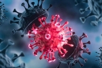 USA Coronavirus breaking news, USA Coronavirus, delta variant makes usa tensed again, Usa coronavirus news