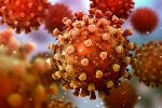 Delta variant, Delta variant viral load, delta variant shows 1000 times higher viral load than the covid strain, 000 times