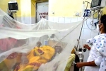 Dengue India breaking updates, Dengue India, centre rushes teams to 9 states after dengue outbreak, Dcp