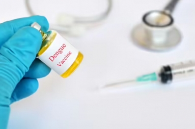 India in Final Stages of Developing Dengue Vaccine