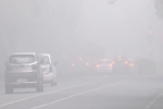 Dense Fog blankets Delhi-NCR: 128 Flights Cancelled