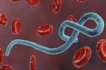 Denver, Denver, denver health aims for quicker public alerts over ebola scare, Ebola outbreak