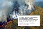 Fires in Amazon Rainforest, amazon forest wildfires, in pictures devastating fires in amazon rainforest visible from space, Amazon rainforest