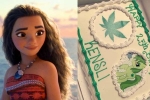 davis, Moana, georgia mother orders disney themed cake for daughter instead receives marijuana themed one, Birthday party