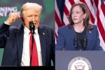 Donald Trump Vs Kamala Harris news, Donald Trump Vs Kamala Harris, donald trump calls kamala harris is married to a jewish man, North carolina