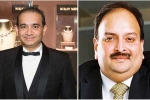 Mehul Choski, Enforcement Directorate, ed seizes nirav modi mehul choski s assets worth 218cr, Pnb scam