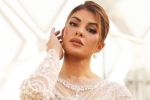 ED opposes Jacqueline Fernandez's Plea