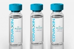 WHO, EUL for Covaxin breaking updates, who delays the eul decision on covaxin, Soumya swaminathan