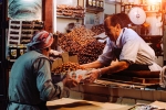 fast in ramadan, how many dates to break fast, health benefits of eating dates during ramadan, Ramzan