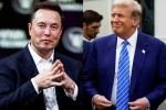 Elon Musk and Donald Trump budget, Donald Trump, elon musk s big bet on donald trump, Nelson Elon Musk and Donald Trump budget, Donald Trump, elon musk s big bet on donald trump, Nelson