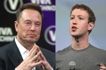 Mark Zuckerberg, Elon Musk Vs Mark Zuckerberg breaking, elon musk vs mark zuckerberg rivalry, Walrus