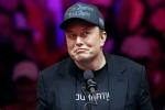 Elon Musk statement, Elon Musk comments, elon musk mocks federal workers on x, Layoffs