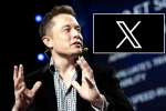X subscription users, X subscription from Elon Musk, elon musk announces that x would be paid for everyone, Social networking
