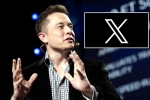 X subscription users, Elon Musk, elon musk announces that x would be paid for everyone, Subscriptions