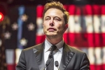 Trump about musk, Elon Musk DOnald Trump - Matrix, is elon musk in the trump cabinet, Fbi