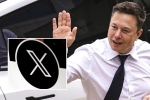 X - elon musk, X news, another controversial move from elon musk, Researchers