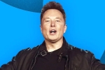 Elon Musk latest breaking, Elon Musk news, elon musk s new ultimatum to twitter staffers, Layoffs
