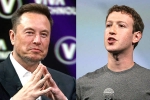 Elon Musk and Mark Zuckerberg news, Elon Musk and Mark Zuckerberg breaking, elon vs zuckerberg mma fight ahead, Medal