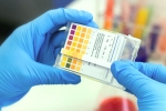 CRISPR, CRISPR, everything about feluda a low cost covid 19 test in india, Young mind