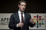 firm, Facebook CEO, facebook ceo refuses to quit amid pressure from investors, Mark zuckeberg firm, Facebook CEO, facebook ceo refuses to quit amid pressure from investors, Mark zuckeberg