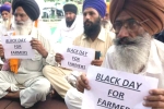farmers, farm bill, why farmers and politicians are against modi s farm laws, Farm bills