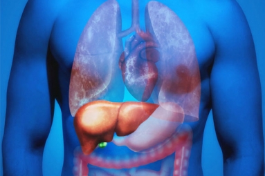 Why is Fatty Liver Affecting Youngsters?