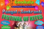 Harvest Festival, AzGoshala, festival of kites pongal sankranti, Harvest festival