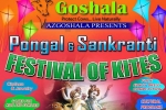 Sankranti 2020, AzGoshala, festival of kites pongal sankranti, Rangoli Sankranti 2020, AzGoshala, festival of kites pongal sankranti, Rangoli