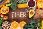 Fibre for Gut breaking, Fibre for Gut suggestion, fibre is the most underrated nutrient for your gut, Bacteria Fibre for Gut breaking, Fibre for Gut suggestion, fibre is the most underrated nutrient for your gut, Bacteria