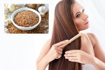 Flaxseeds health benefits, Flaxseeds latest, how flaxseeds can help for a long and healthy hair, Hair care