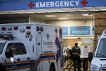 pandemic, novel coronavirus, focus on the united states as the new epicentre of covid 19 outbreak, Andrew cuomo pandemic, novel coronavirus, focus on the united states as the new epicentre of covid 19 outbreak, Andrew cuomo