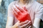 Foods for Inflammation breaking, Foods for Inflammation latest, magical indian superfoods to fight inflammation, Animal