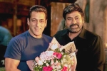 Chiranjeevi Salman Khan movie, Chiranjeevi Salman Khan news, official god father team confirms salman khan s cameo, Lucifer remake