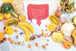Good Gut Health tips, Good Gut Health  food, how to maintain good gut health, Seasons