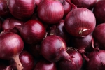 exports, southern states, govt bans onion exports amid shortage in domestic markets, Price change
