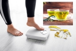 Green Tea for Weight loss business, Green Tea for Weight loss business, can consuming green tea really help in weight loss, Skin care