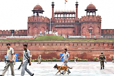 Grenade found in Delhi&rsquo;s Red Fort